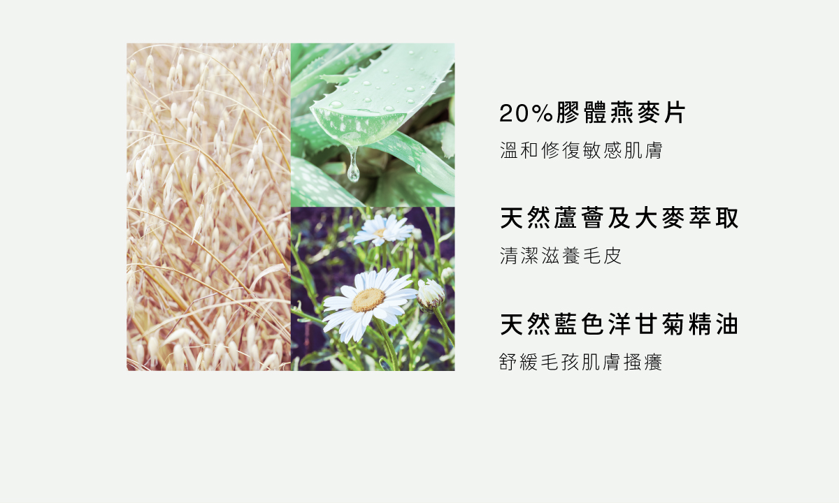DOGGYPOTION_商品頁_Relax_商品介紹2