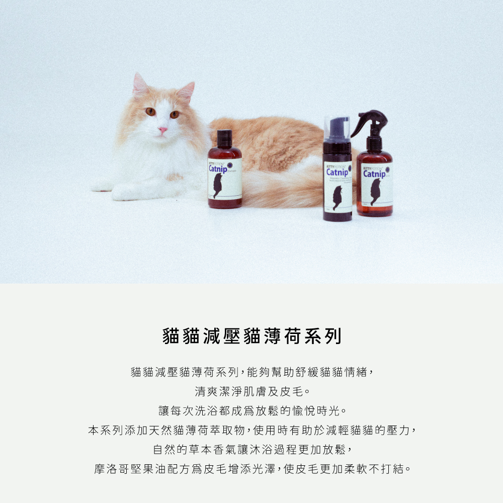 DG_商品頁_Catnip_1000x1000_商品介紹1