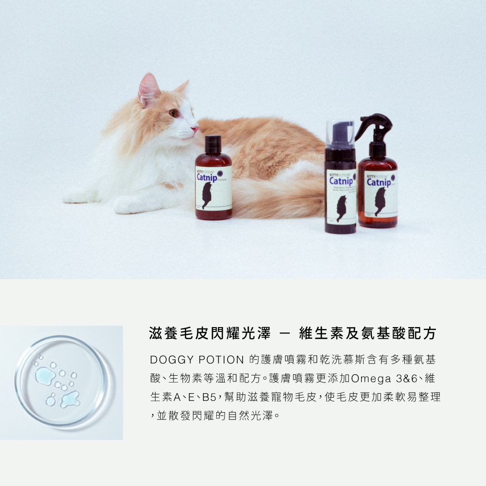 DG_商品頁_Catnip_1000x1000_產品使用建議2