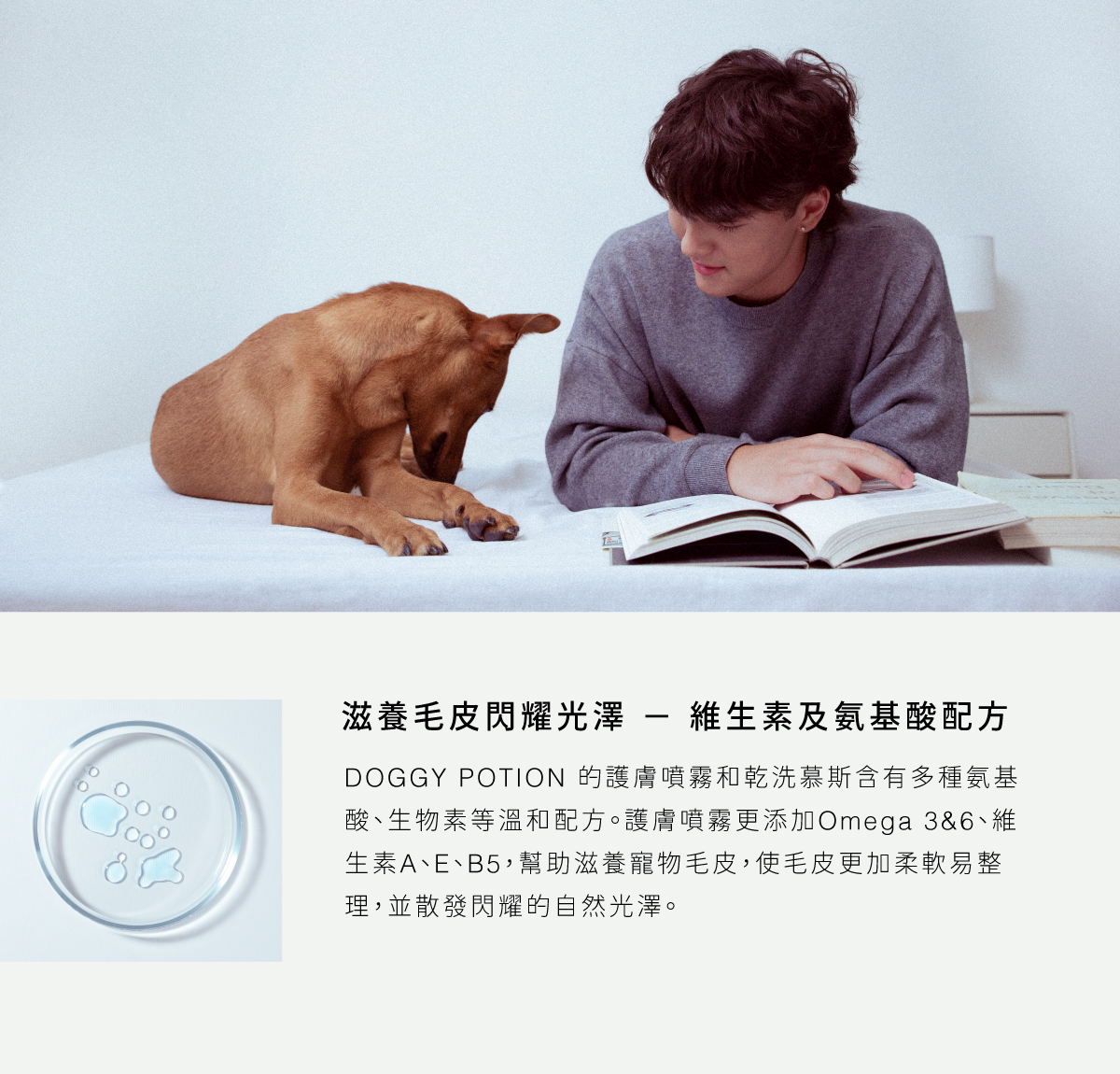 DOGGYPOTION_商品頁_Relax_產品使用建議2