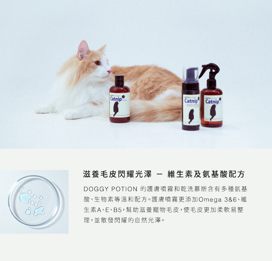 DOGGYPOTION_商品頁_Catnip_產品使用建議2