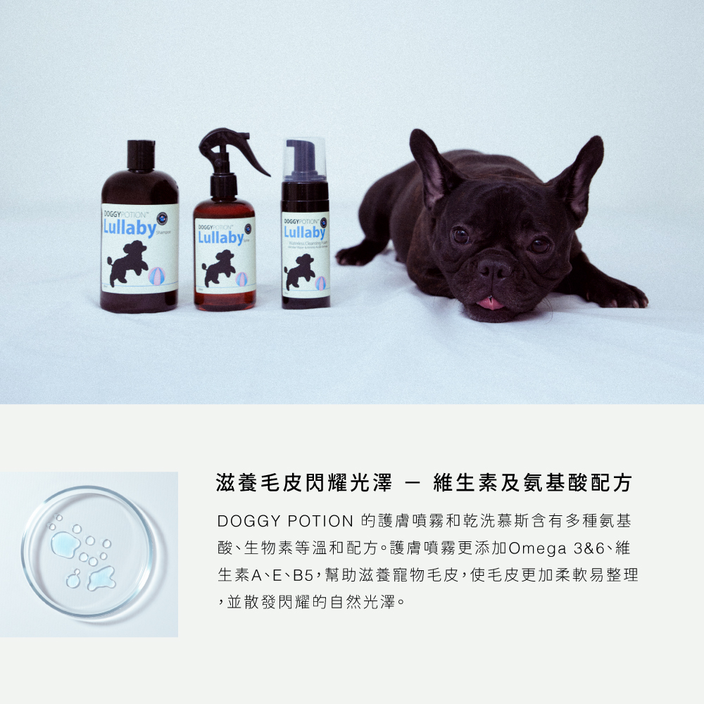 DG_商品頁_Lullaby_1000x1000_產品使用建議2