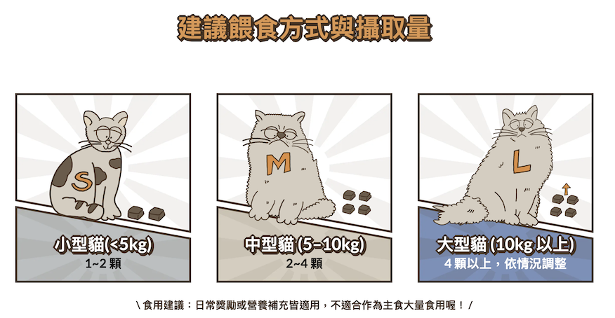 截圖 2025-10-16 下午5.56.04