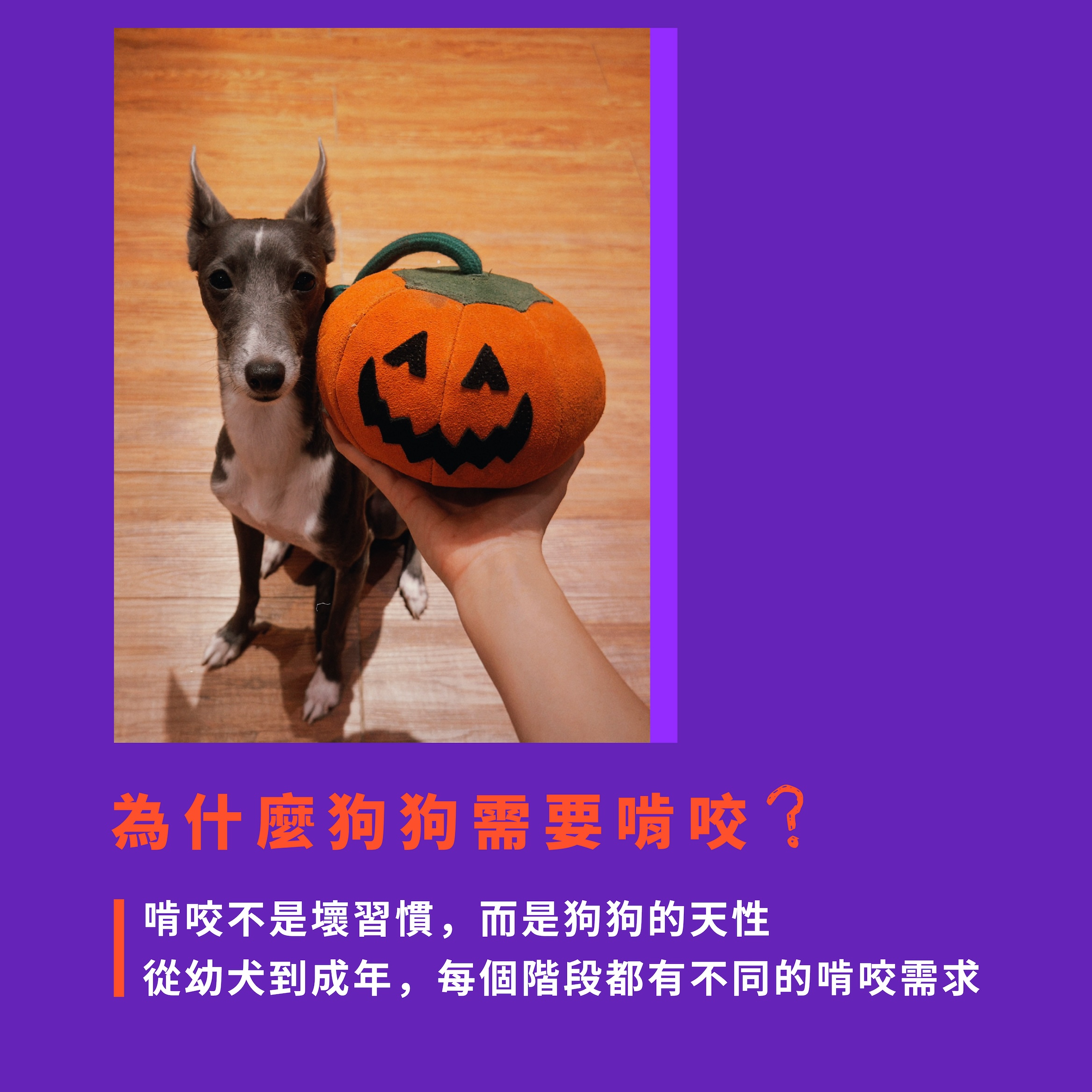 KAHU_G&W 萬聖節商品頁-07