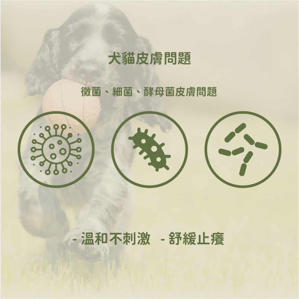 ALL_catalog_25D15_al8k8Fr9Xt