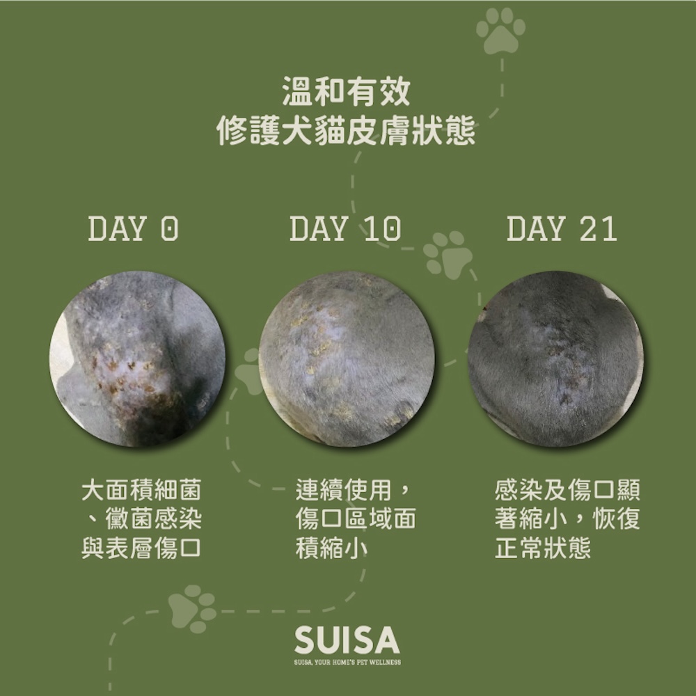 ALL_catalog_25D15_qVRPiDHabt