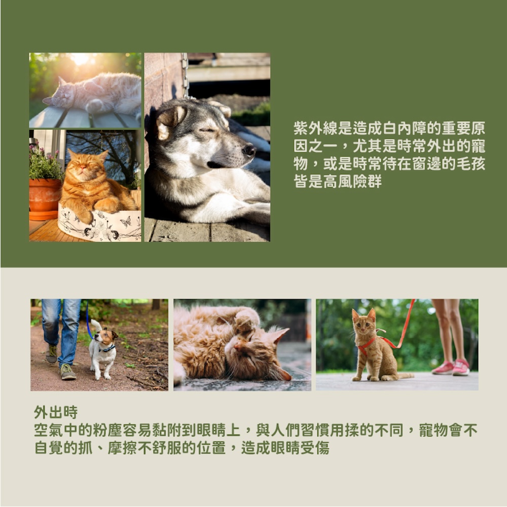 ALL_catalog_25D15_D9pag7FTZM