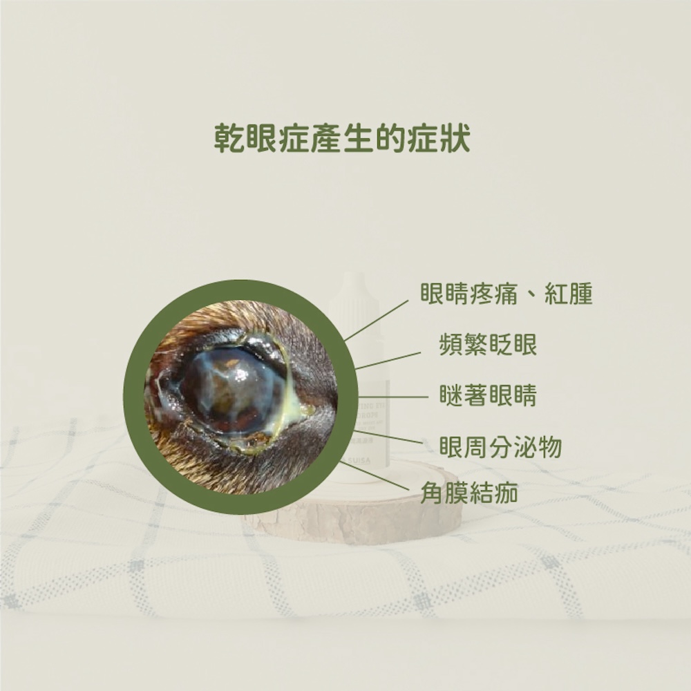 ALL_catalog_25D15_a9LHlJy2pZ