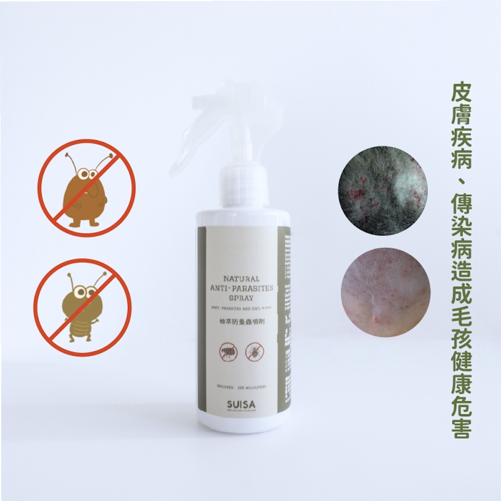 ALL_catalog_25D15_5vYhpobMZq