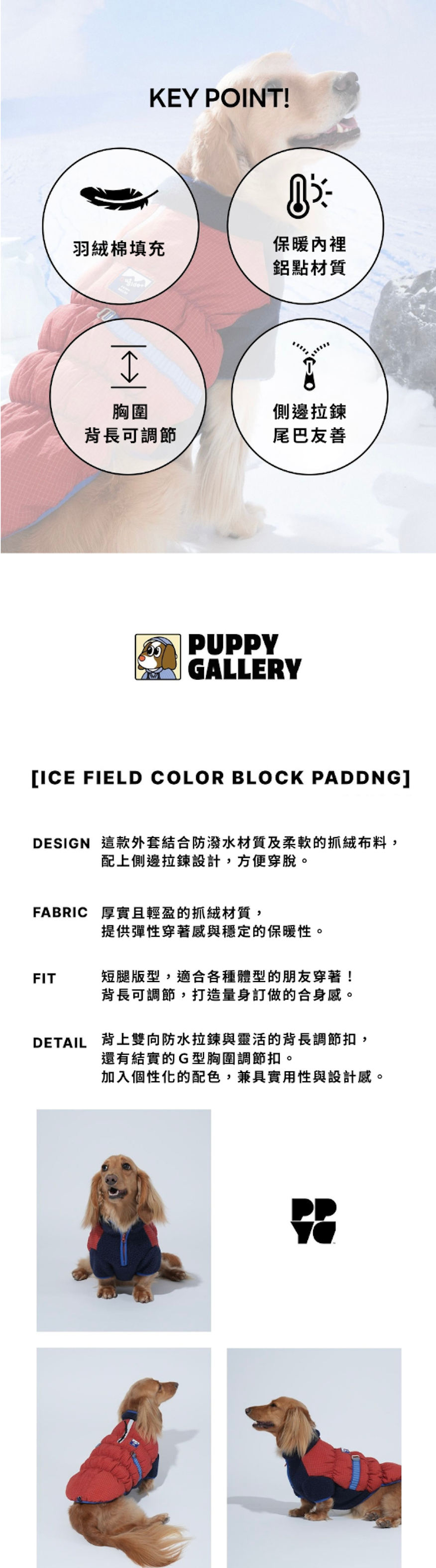 你的段落文字 (1)