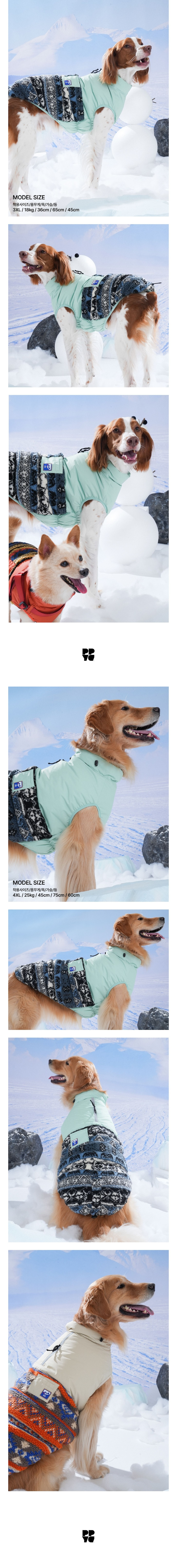 merged-image-2025- (2)