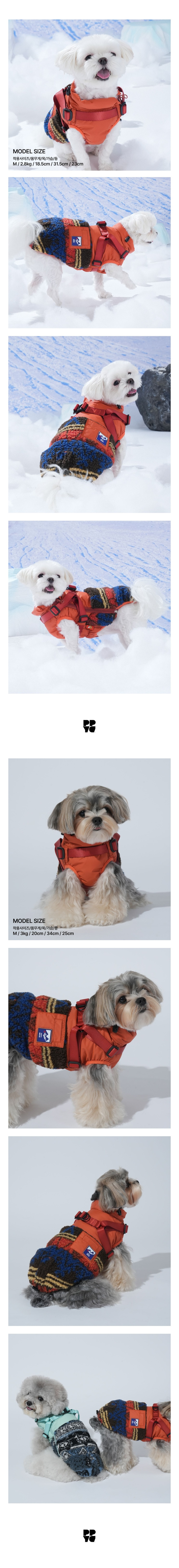 merged-image-2025- (7)