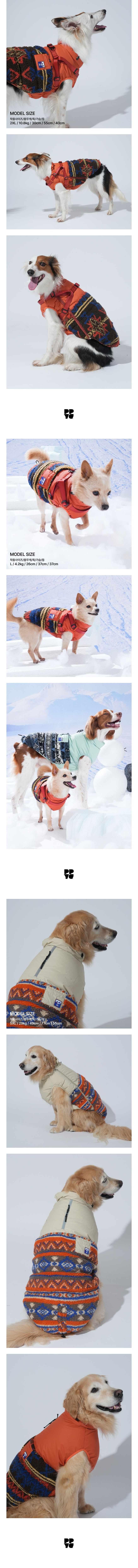 merged-image-2025- (8)