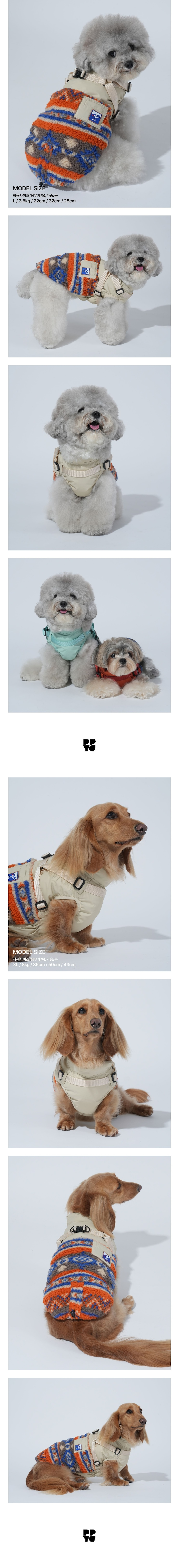 merged-image-2025- (12)