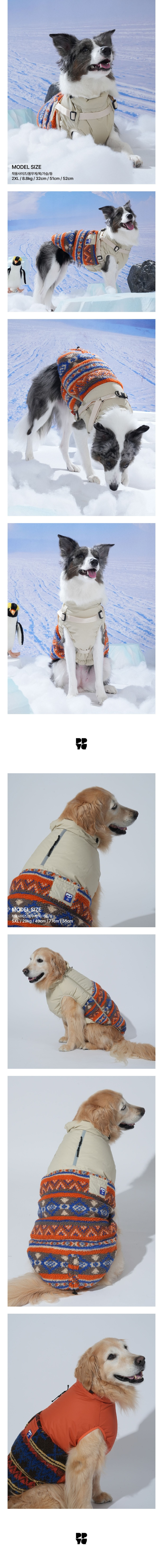 merged-image-2025- (13)