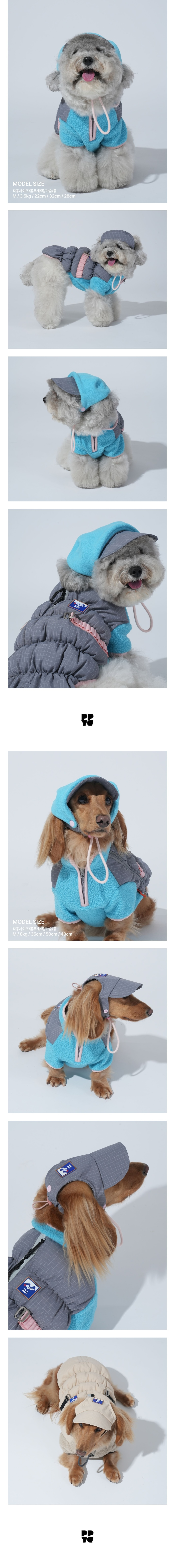 merged-image-2025- (10)