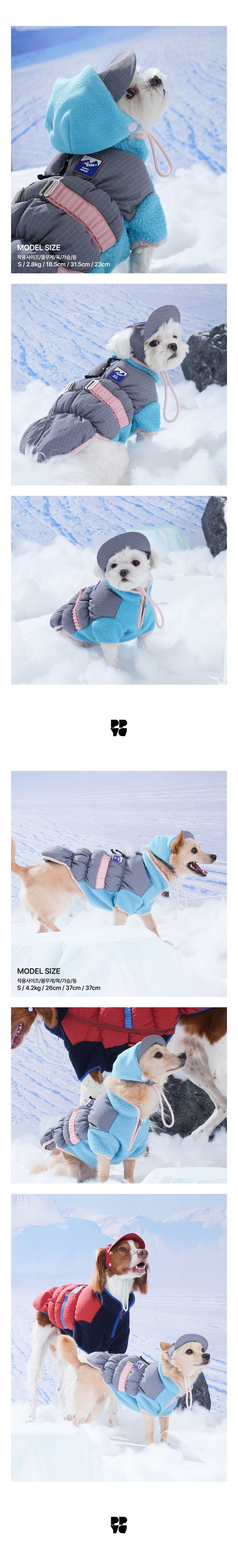 merged-image-2025- (11)