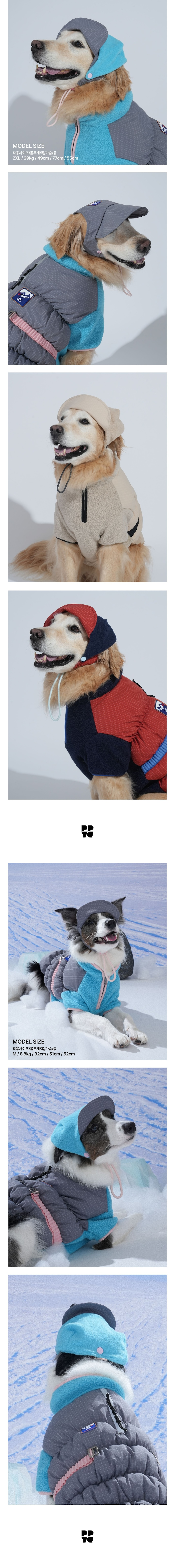 merged-image-2025- (12)