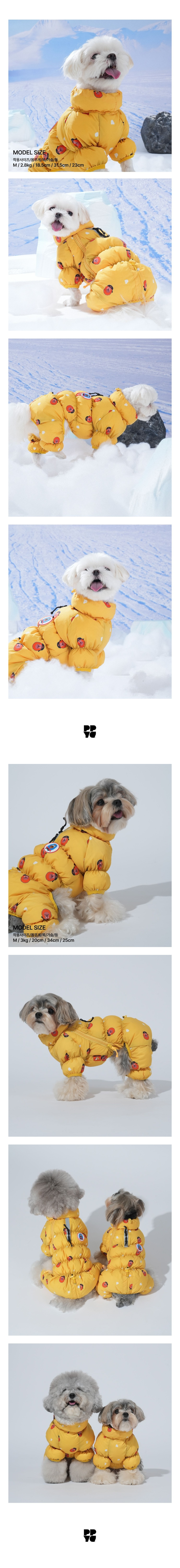 merged-image-2025- (16)