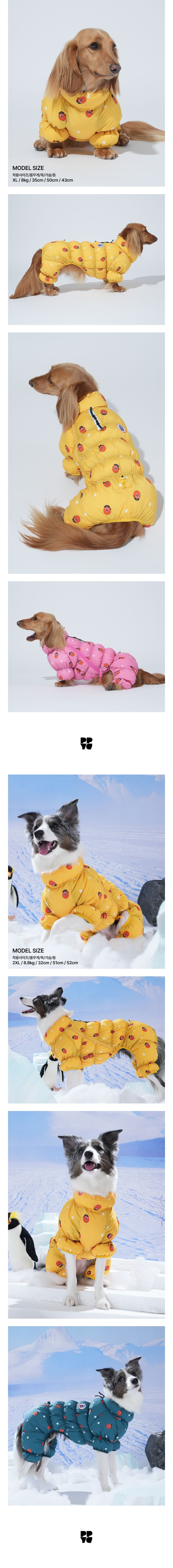 merged-image-2025- (17)