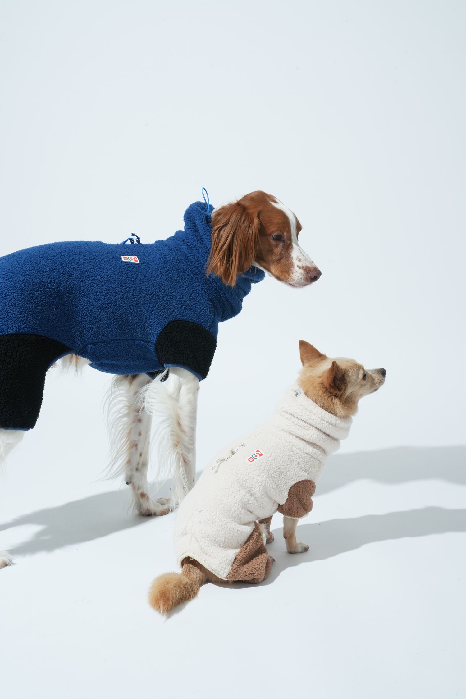 坐下等等 | Puppy Gallery