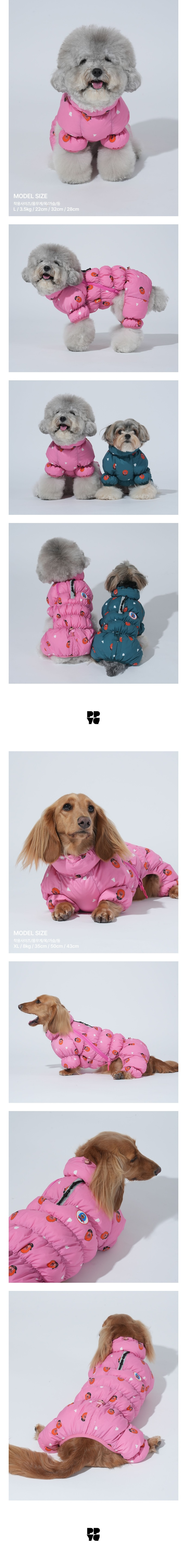 merged-image-2025- (22)