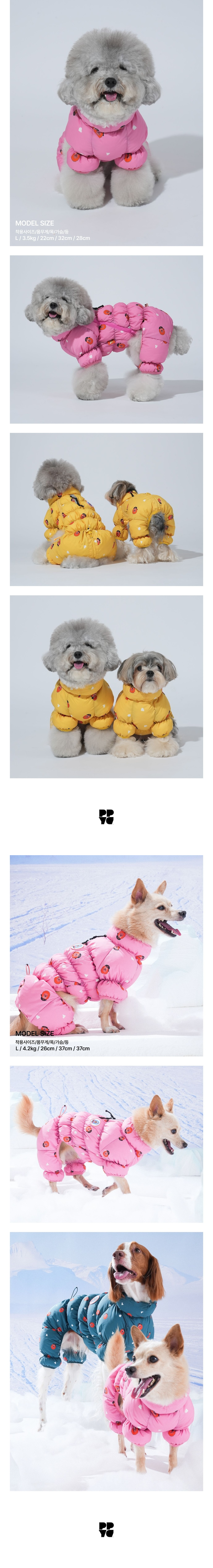 merged-image-2025- (21)