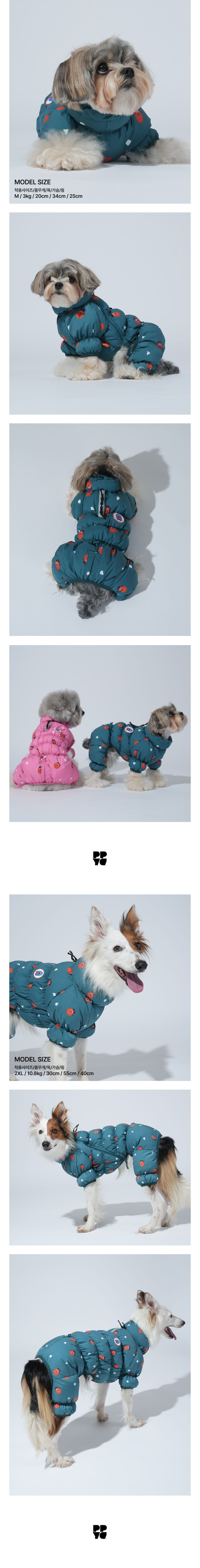 merged-image-2025- (26)