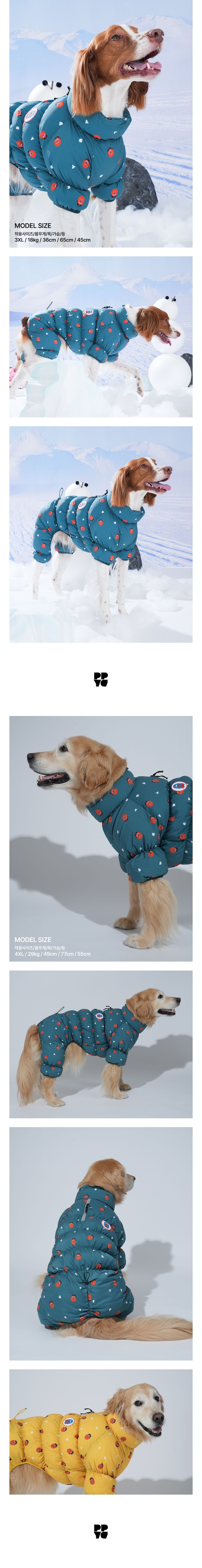 merged-image-2025- (27)