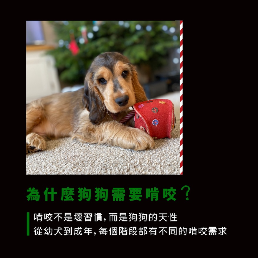 KAHU_G&W Xmas_聖誕頁_2025-10