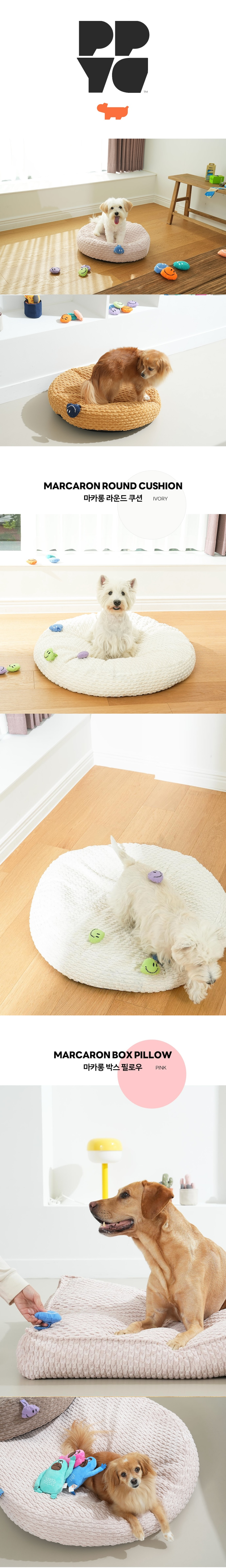 merged-image-2026-拷貝