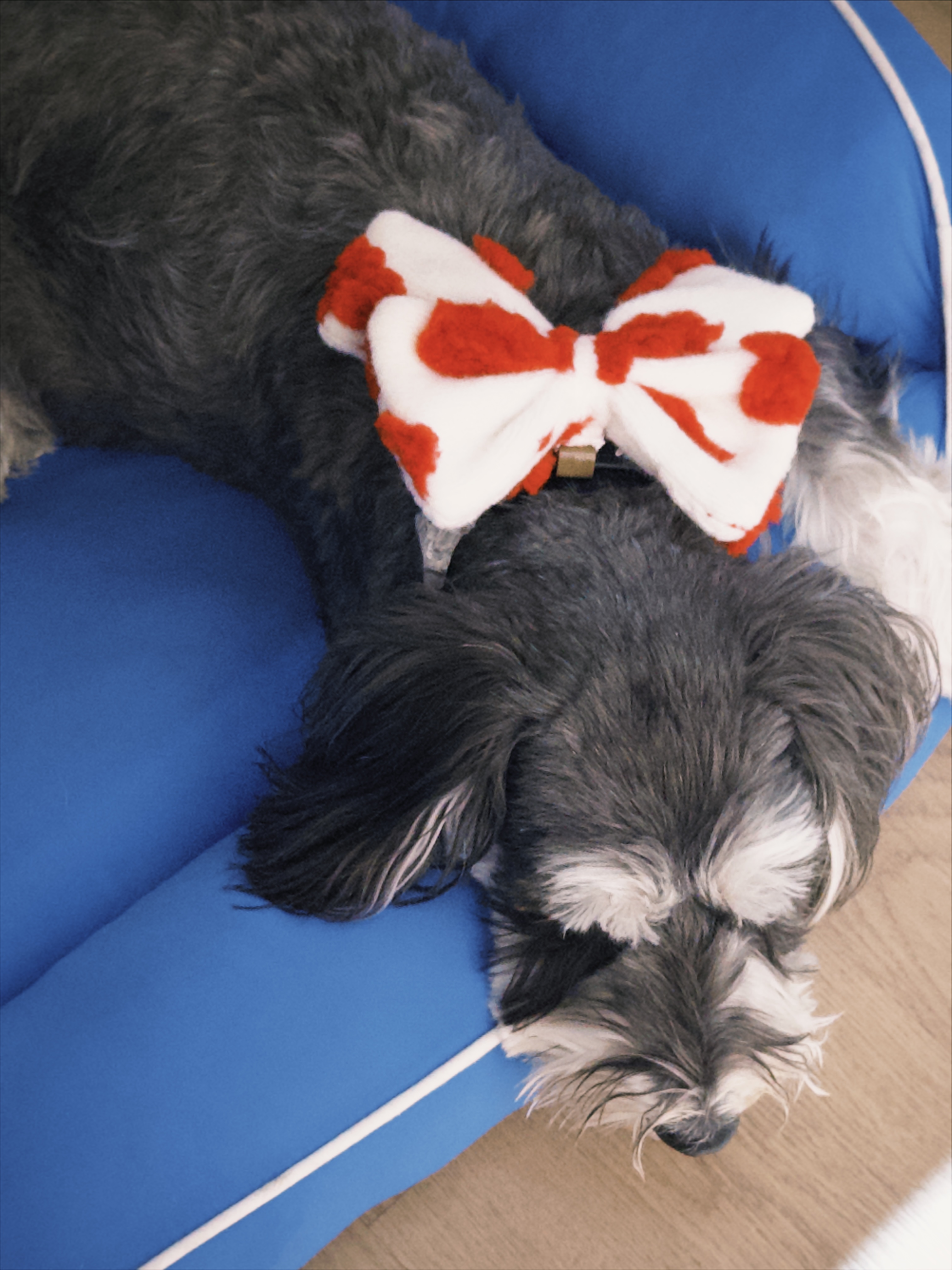 fxn 2026-02-07 20230160FB970F406F