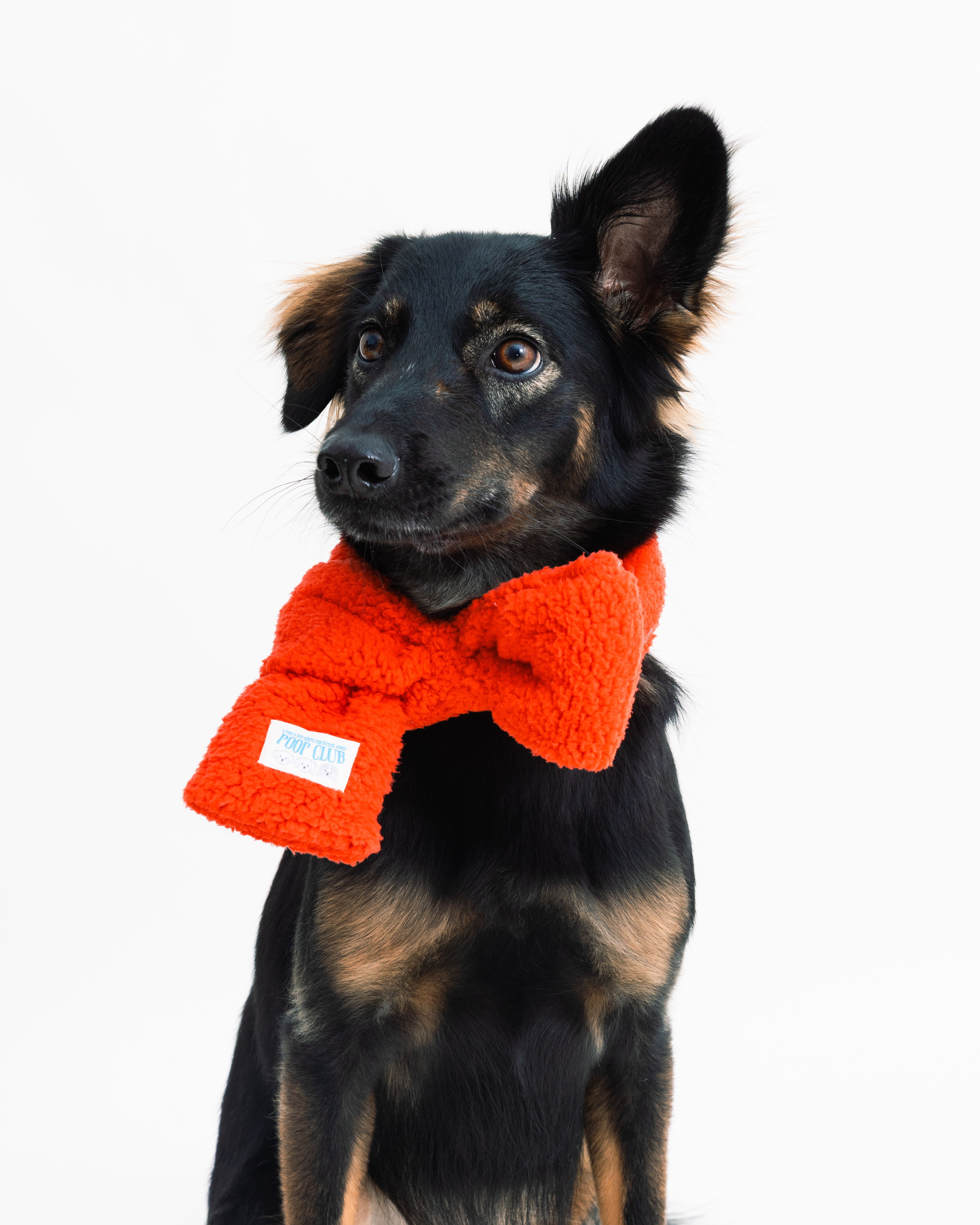 蝴蝶結領巾宣傳-19