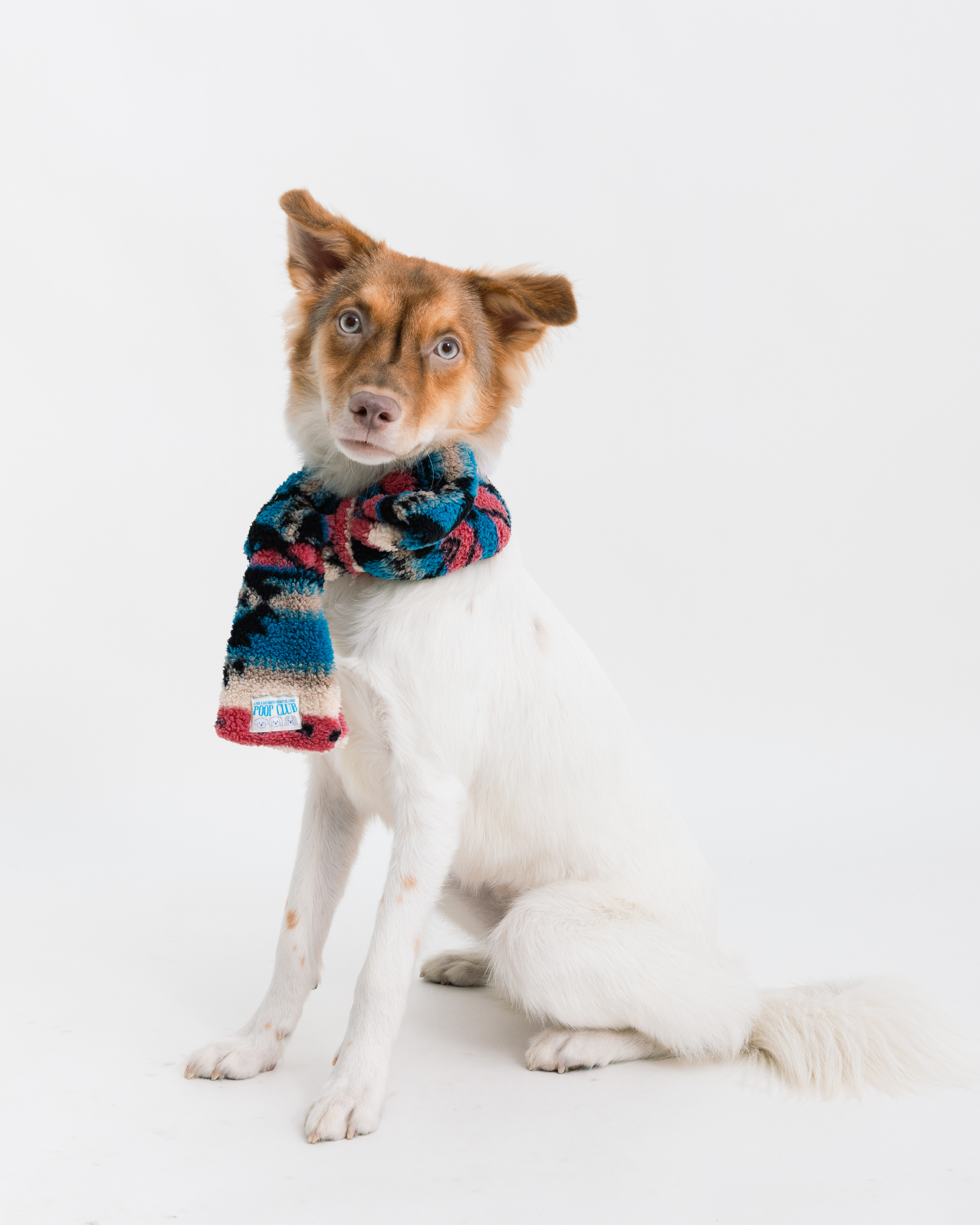 蝴蝶結領巾宣傳-17