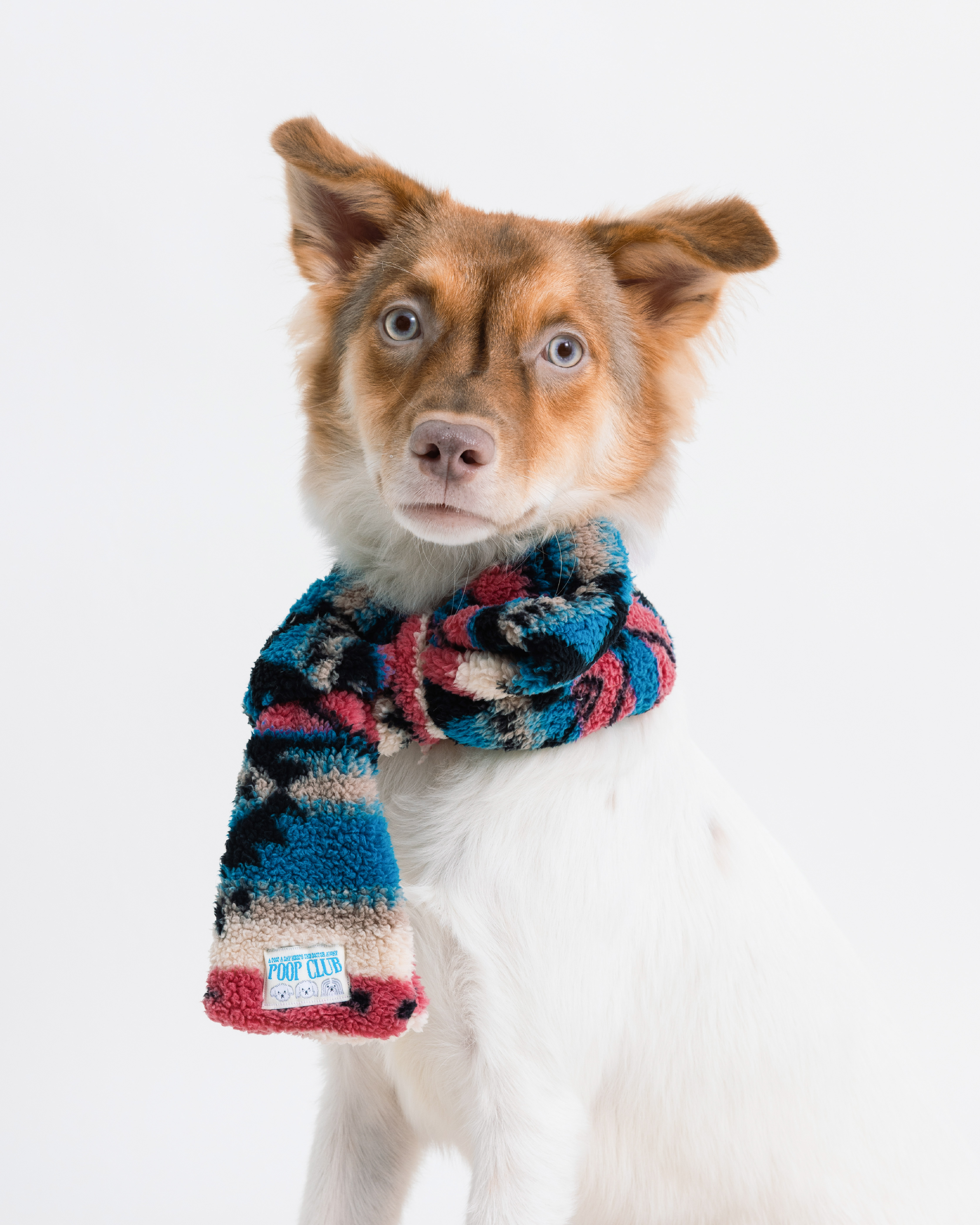 蝴蝶結領巾宣傳-14