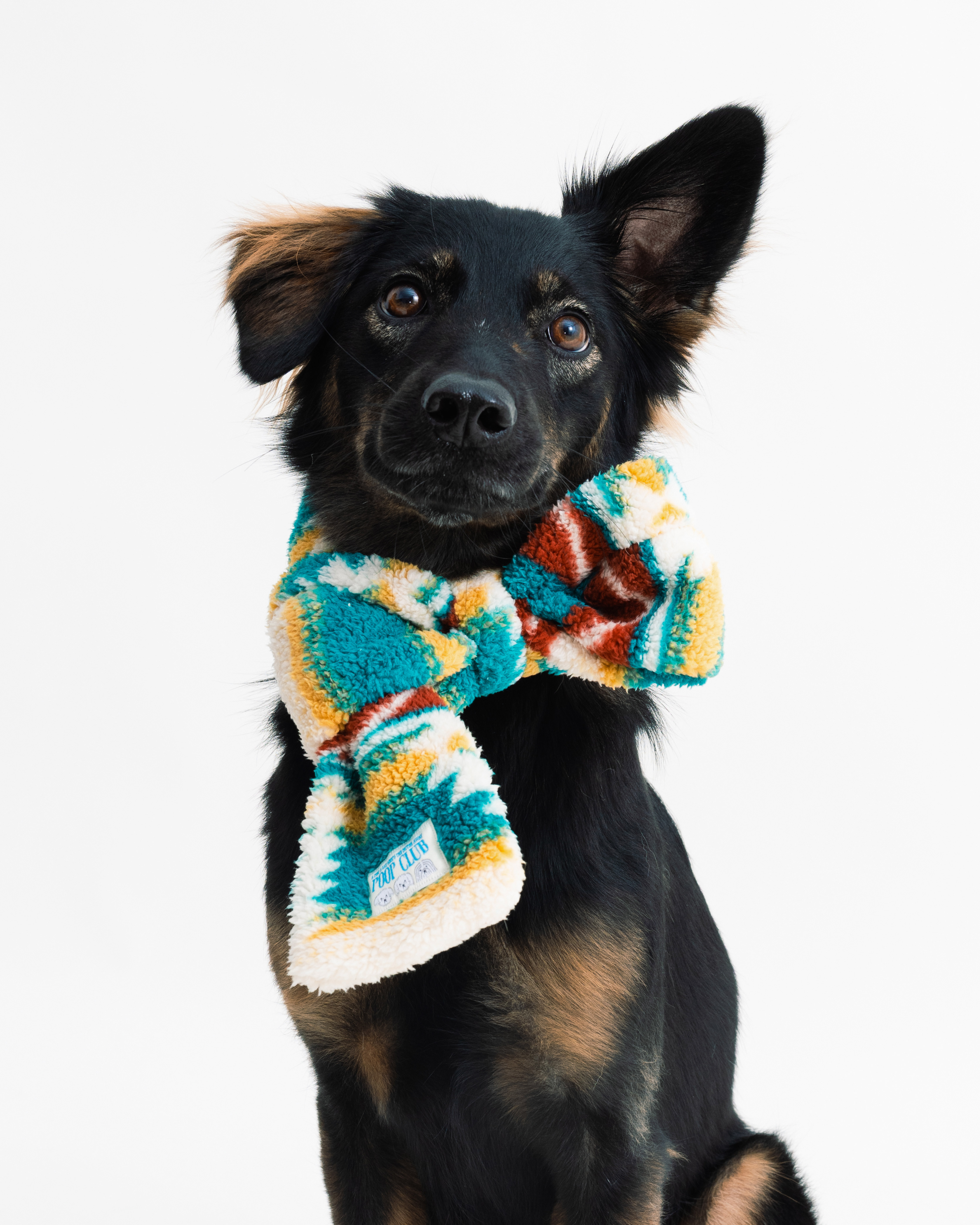 蝴蝶結領巾宣傳-15