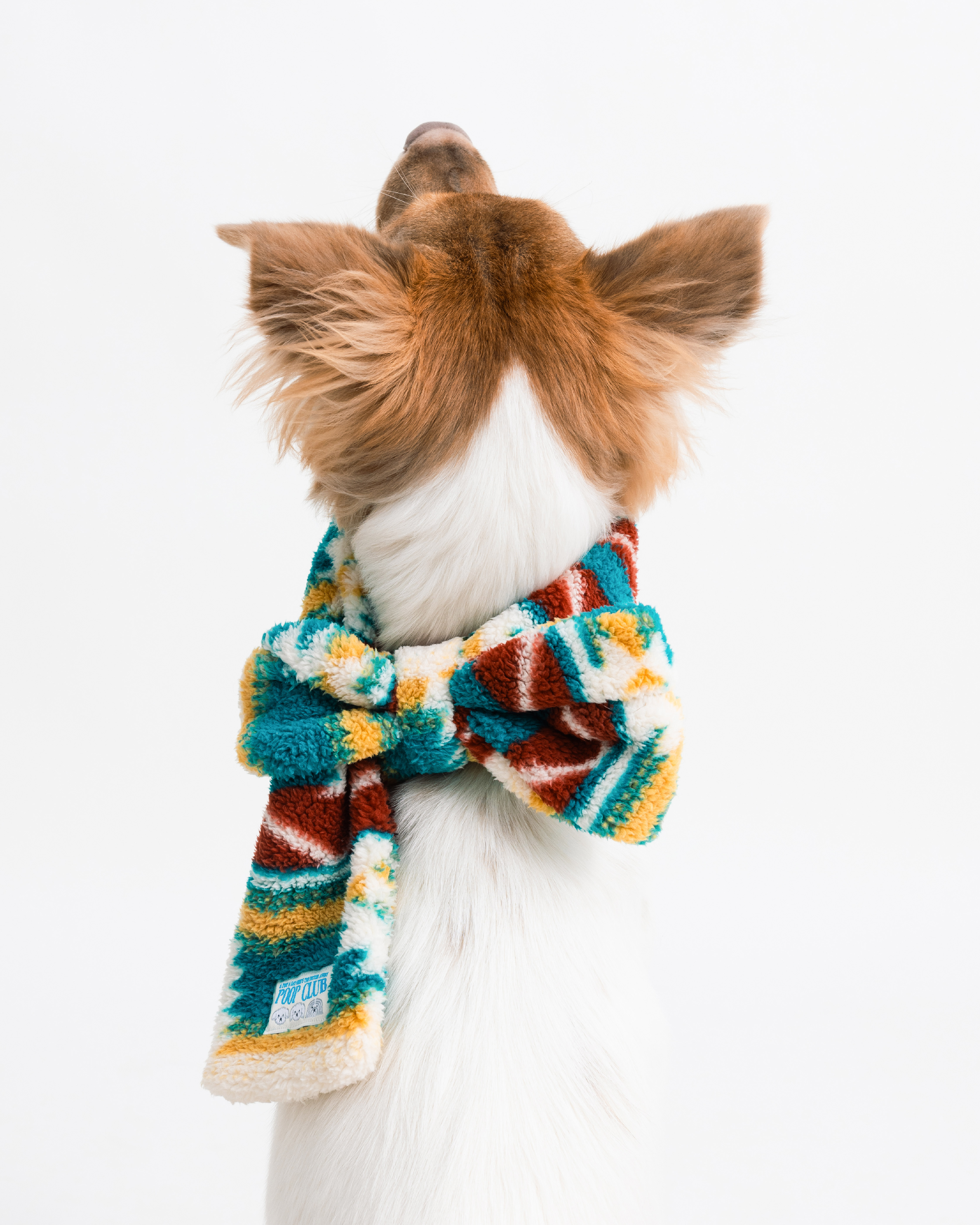 蝴蝶結領巾宣傳-26