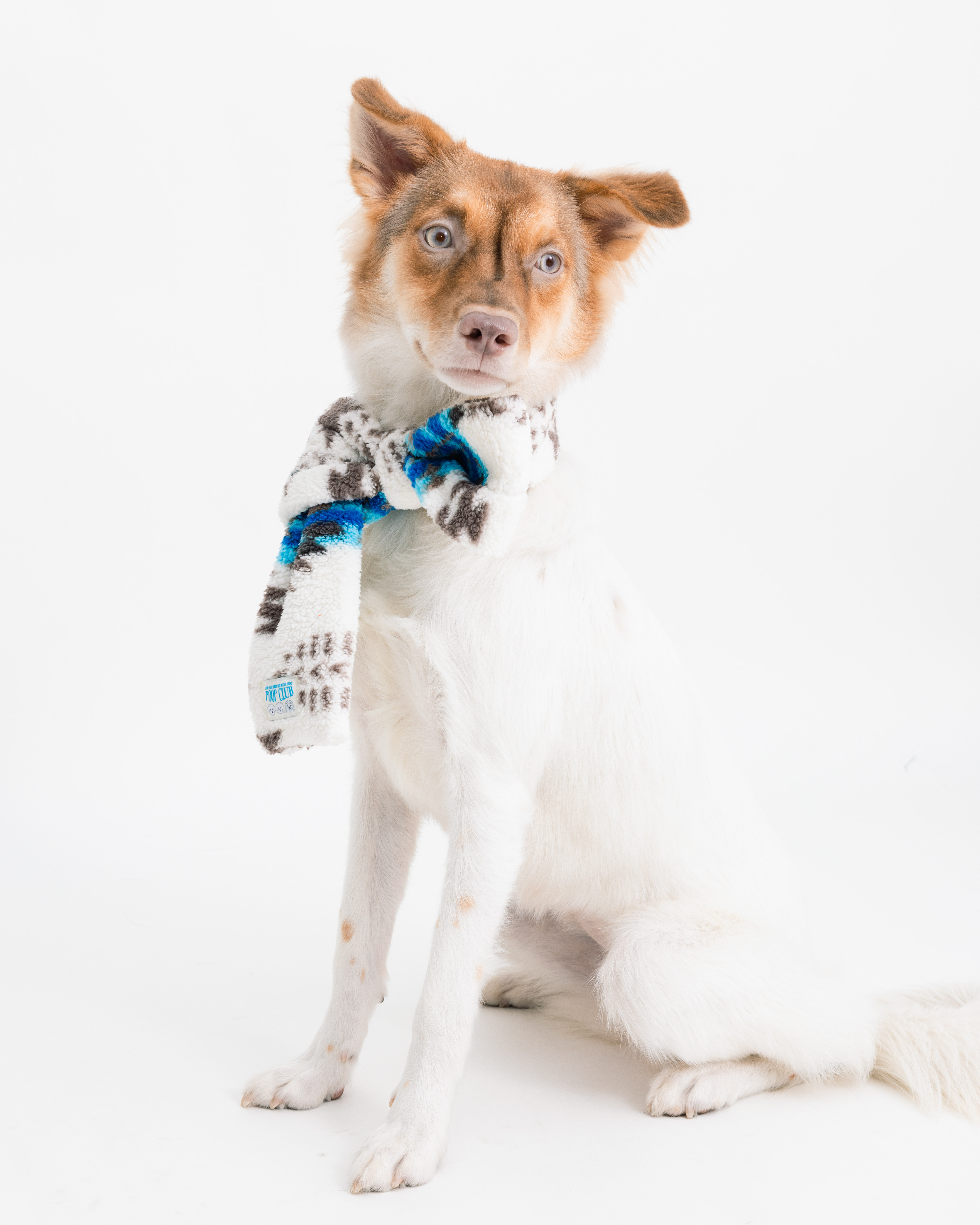 蝴蝶結領巾宣傳-24