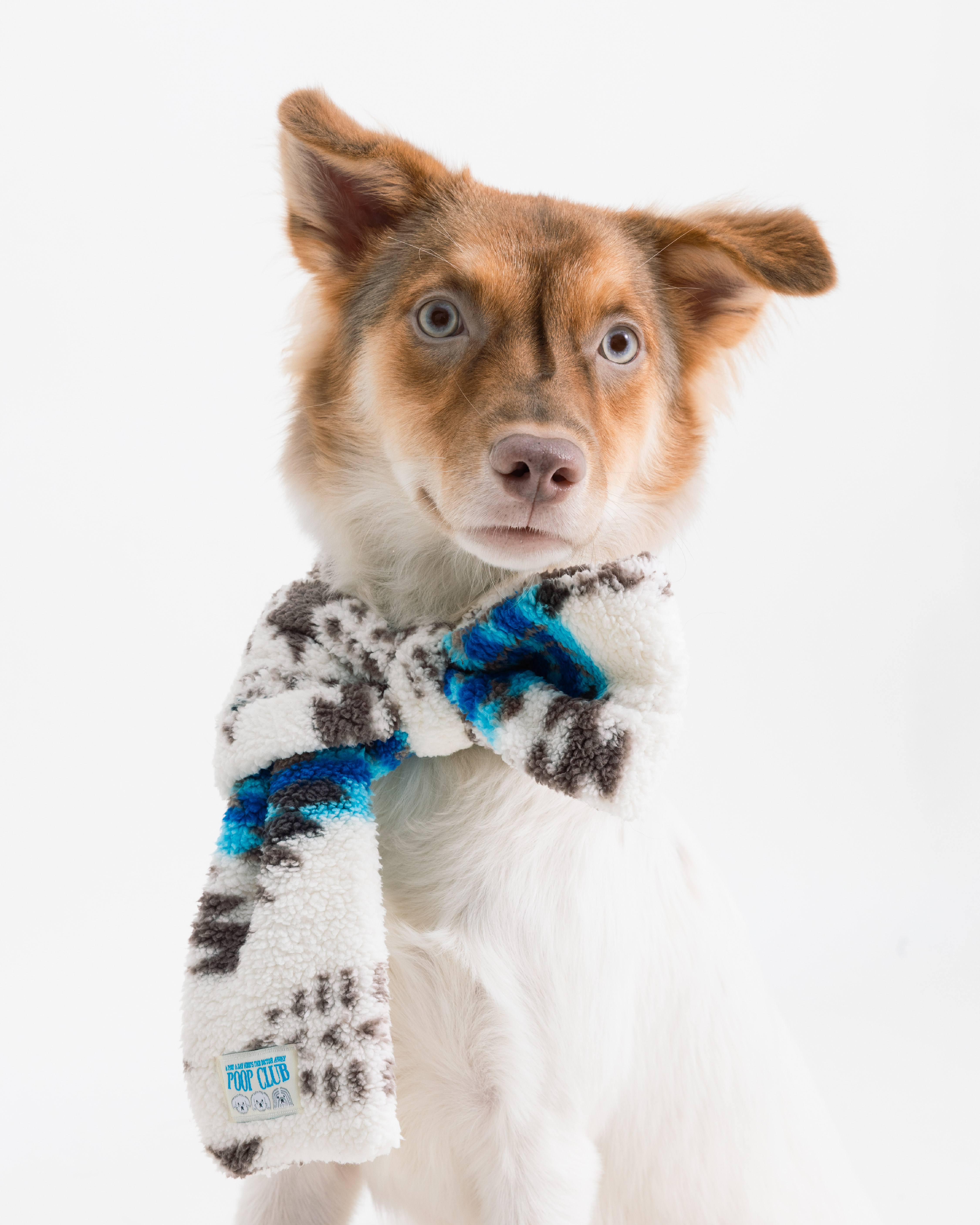 蝴蝶結領巾宣傳-18