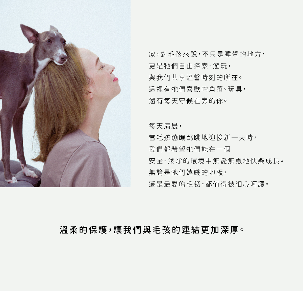 DOGGYPOTION_商品頁_環境清潔系列_商品介紹3