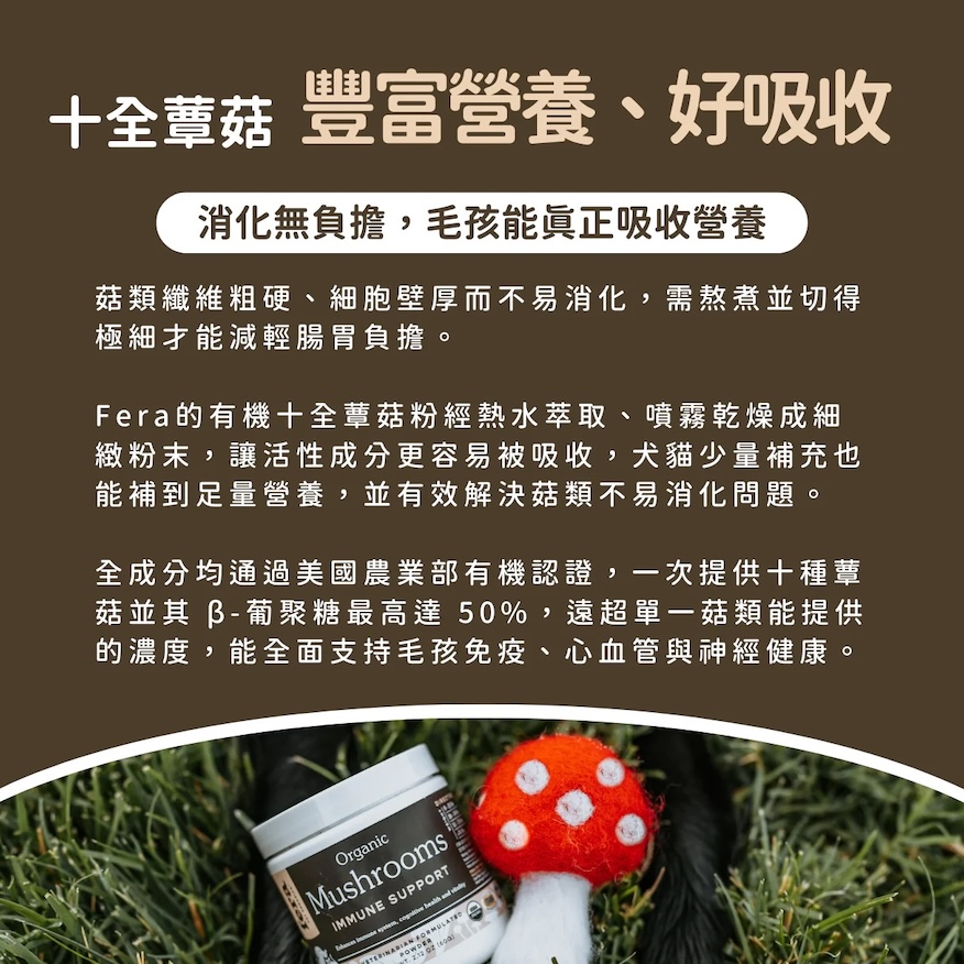 9_06df0376-3a16-4d94-87f8-845cc269fd23副本