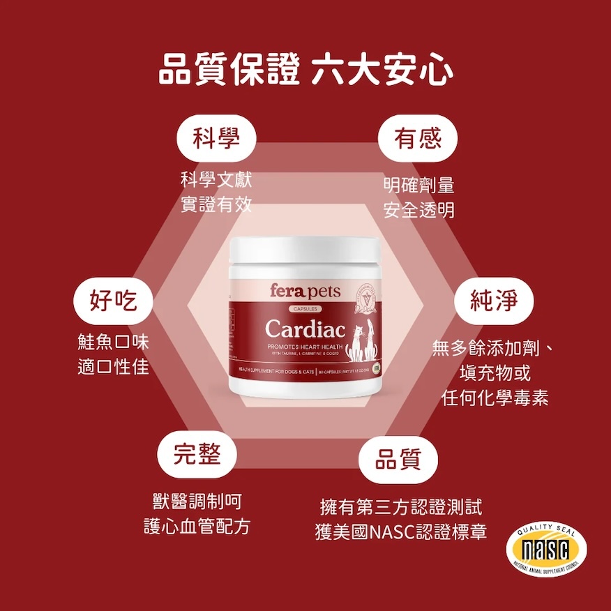 12_4648b081-768f-4b4d-969f-67b463b1a85a副本