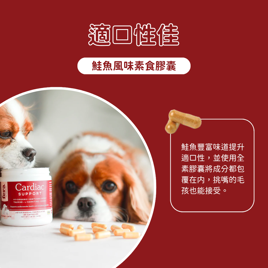 12_a9eeb56d-8fe0-4d99-a45c-d3b2b4e6c817