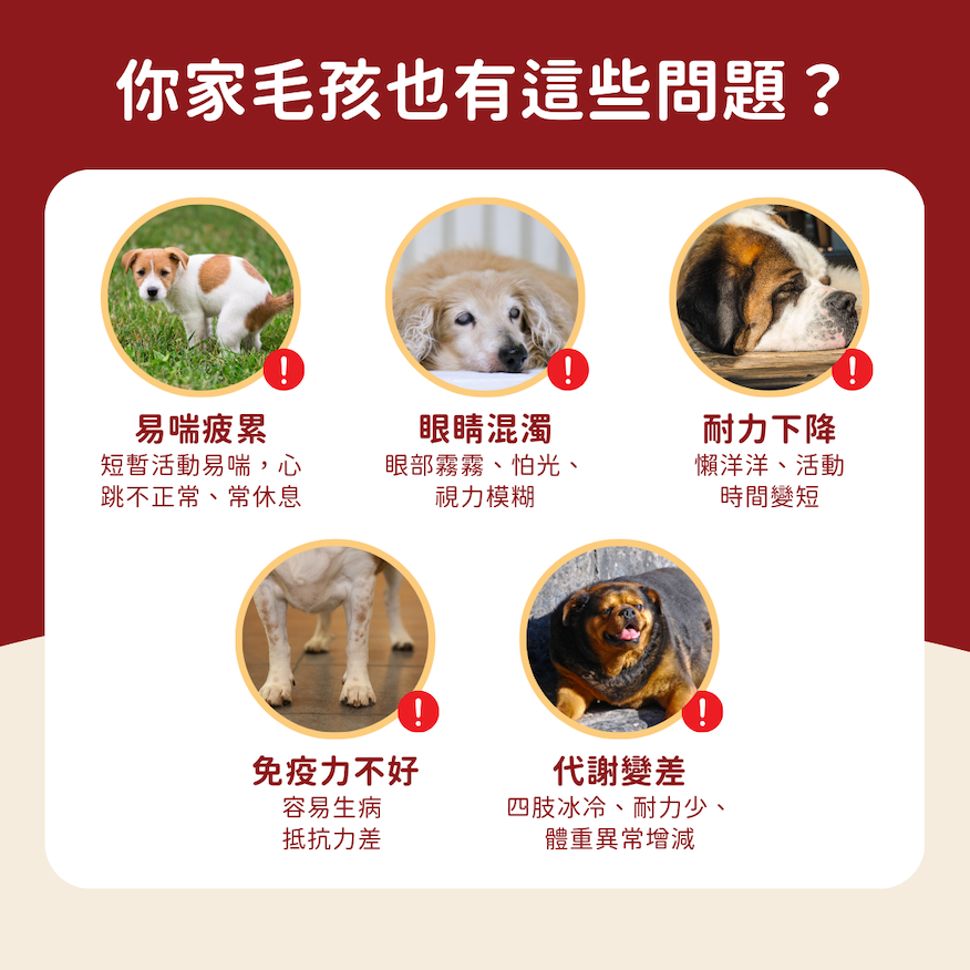 Fera-Heart_-2_optional