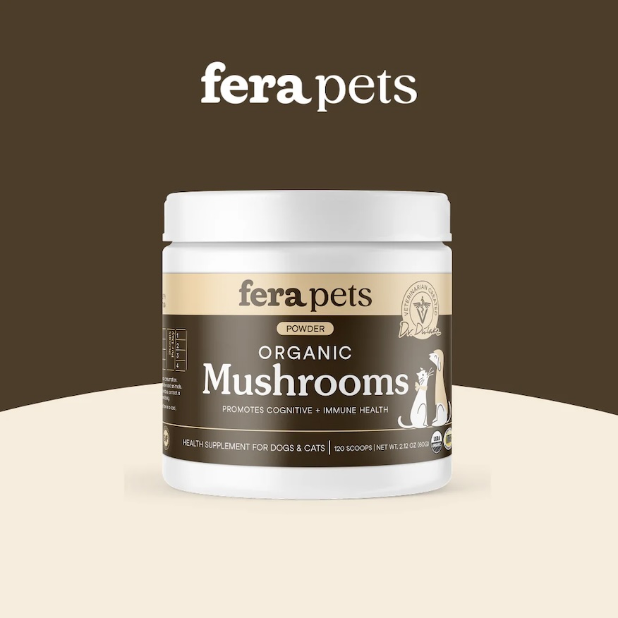 1_68b1097e-aa3f-45a2-886a-520bb728cb9d副本