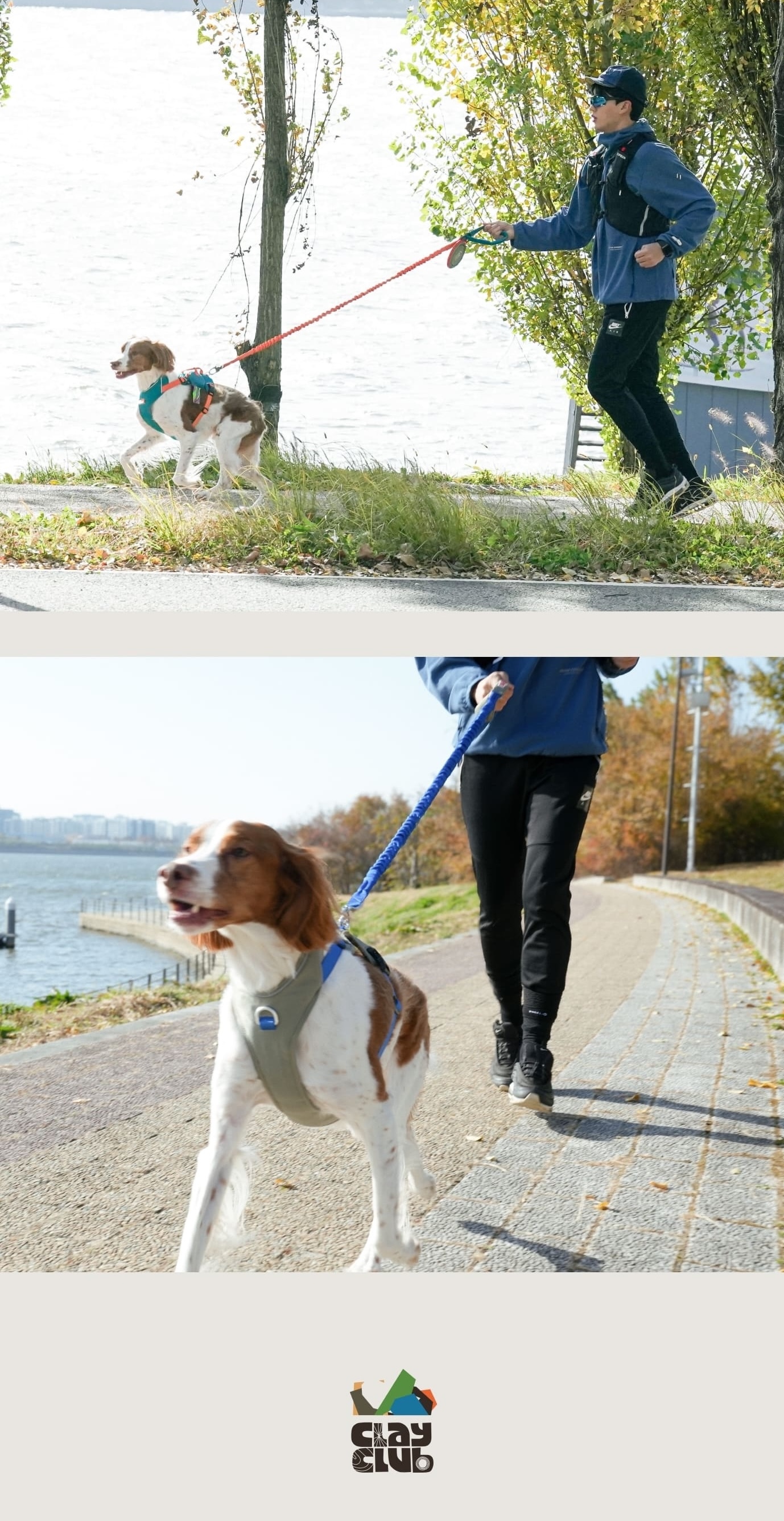 go mentum bungee leash_03 2