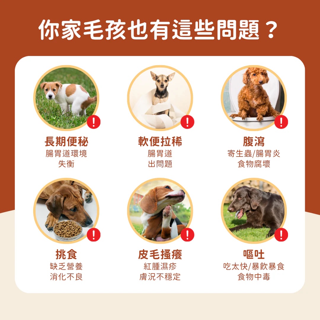 3_fc9a3502-adbf-4344-bf41-2e699c53ca2f