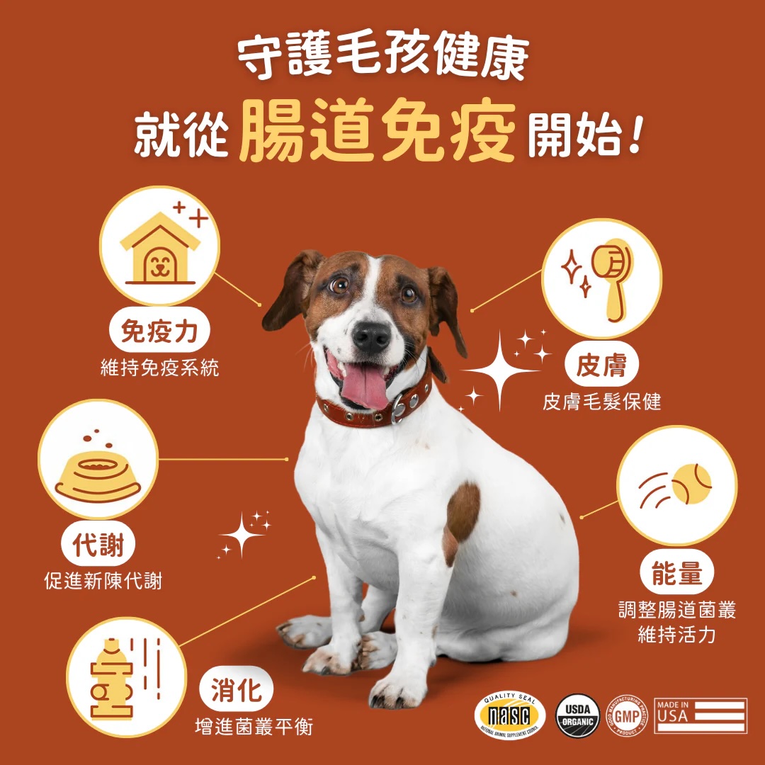 Probiotics_Prebiotics_fdca73f5-0d78-4c4a-9365-7287f5d3e117