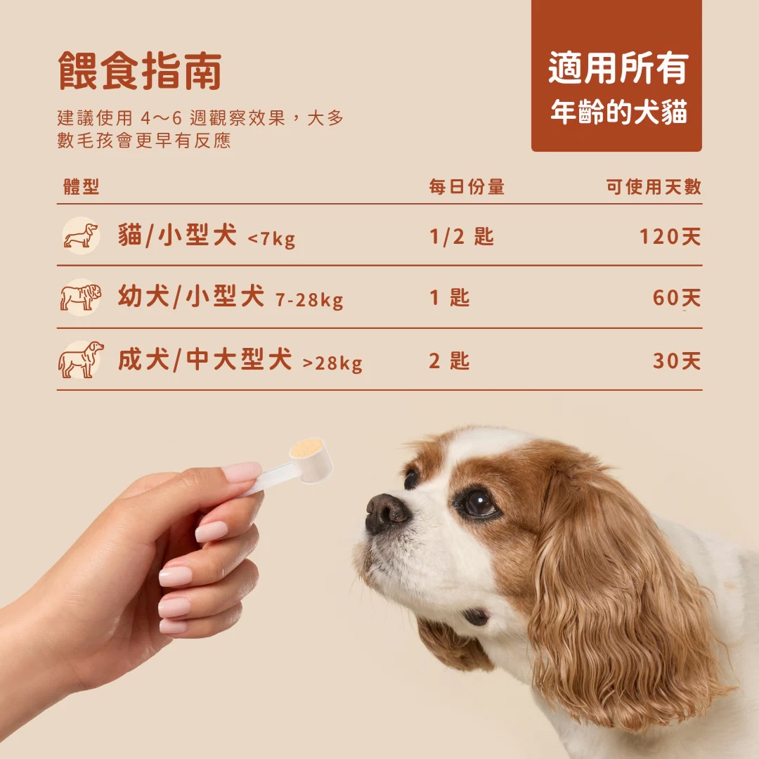 17_76f483fb-6d3f-434a-8551-7de7e27558bb