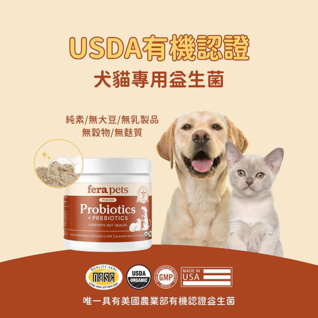 13_497beba2-34e6-4df6-9861-b4cc21d09740